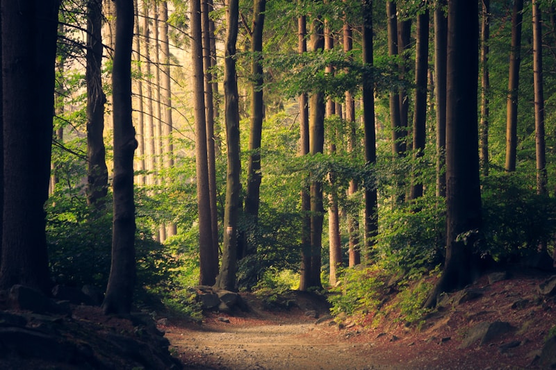 Promenades à Houyet